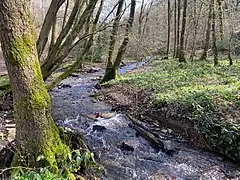 Saalbach im Naturschutzgebiet Gelpe-Saalbach