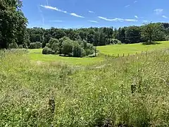 Oberes Feldbachtal - Wiesen um den Quellbereich des Repslöh Siepen