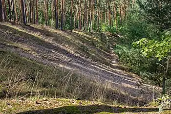 Sandfluren bei Volkach, Schwarzach am Main und Sommerach