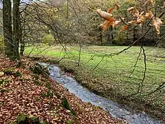 Töckelhauser Bach im Eschbachtal