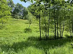 Offene Landschaftsstrukturen mit Obstbäumen und Auwald mit Mittellauf