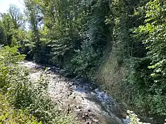 Düssel mit Steilufer und hoher Fließdynamik