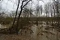 Hochwasser in der Weichholzaue am Altneckar