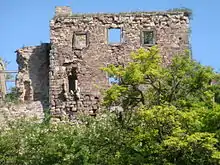 Ruine des alten Schlosses