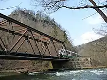 Nelkenstein im Steinicht