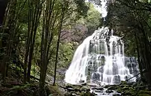 Nelson-Fälle im Franklin-Gordon-Wild-Rivers-Nationalpark