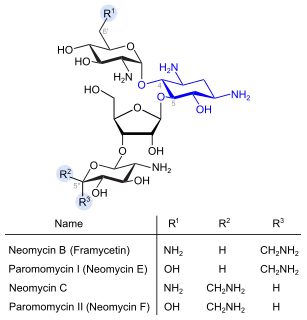 Neomycine (blau: Desoxystreptaminstruktur)