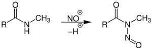 Nitrosierung von N-Methylamid.