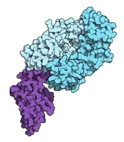 Nivolumab