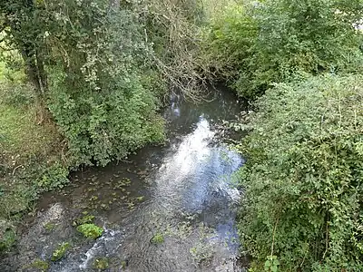 Die Nizonne unterhalb von Pont du Râteau