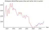 Norwegische Minkwalfangquoten (Blau, 1994–2006) und Fänge (Rot 1946–2005)