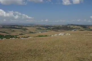 Typische Landschaft des zentralen Nyika-Plateaus