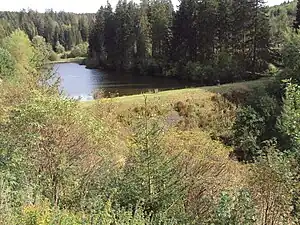 Oberer Spiegeltaler Teich, Damm und Wasserfläche. Ansicht von Westen