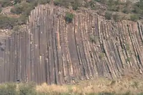 Organ Pipes