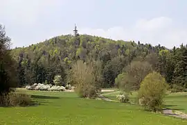 Der Ossinger im Frühling