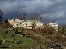 Ostseite der vorderen Burgruine Wartenberg, Muttenz