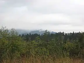 Blick über das Moor, im Hintergrund Wallfahrtskirche Frauenberg