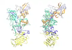 Protektives Antigen (PA-63)