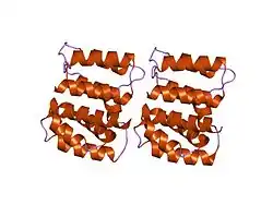 Matrixprotein 1