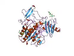 Arylsulfatase B