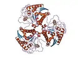 Arginase-1