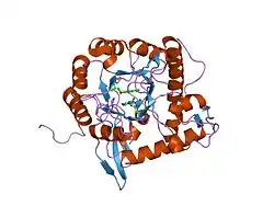 Inosinmonophosphat-Dehydrogenase