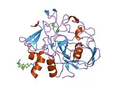 Formylglycin-generierendes Enzym