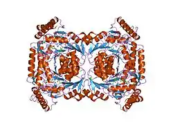 5-Aminolävulinatsynthase, unspezifische