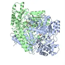 Glutamat-Decarboxylase