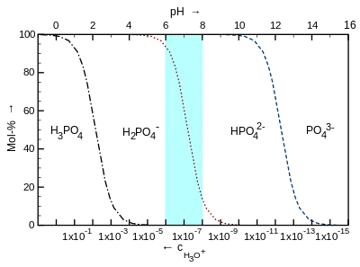 Diagramm