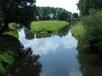 Beginn der Mittelaller an der Mündung der Oker (rechts) in die Aller bei Müden