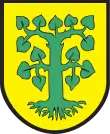 Wappen von Borne Sulinowo