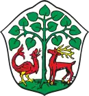 Wappen Braunsberg