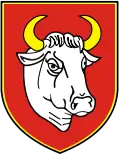 Wappen von Człuchów