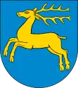 Wappen von Kozienice