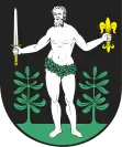 Wappen von Nidzica