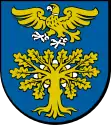 Wappen der Gmina Sokołów Małopolski