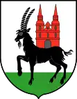 Wappen von Wieruszów