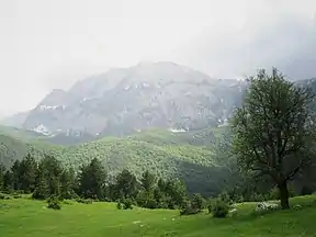 Landschaft im Nationalpark