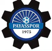 Payasspor