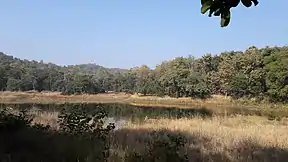 Landschaft im Pench-Nationalpark