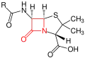 Grundstruktur der Penicilline – der β-Lactamring ist rot markiert.