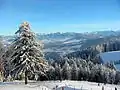 Blick vom Pfänder Richtung Bregenzerwald