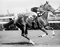 Phar Lap (1930)