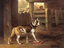 Bulldogge, 1790