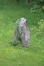 Menhir Pierre d'Horloge