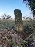 Menhir Pierre au Bordeu