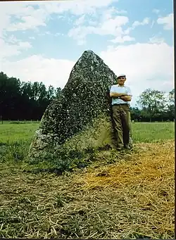 Menhir Pierre aux Sorciers