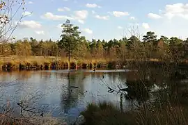 Landschaft im Pietzmoor