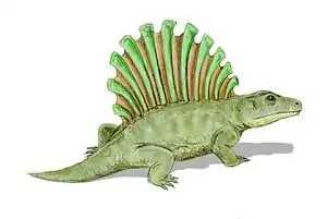 Platyhystrix